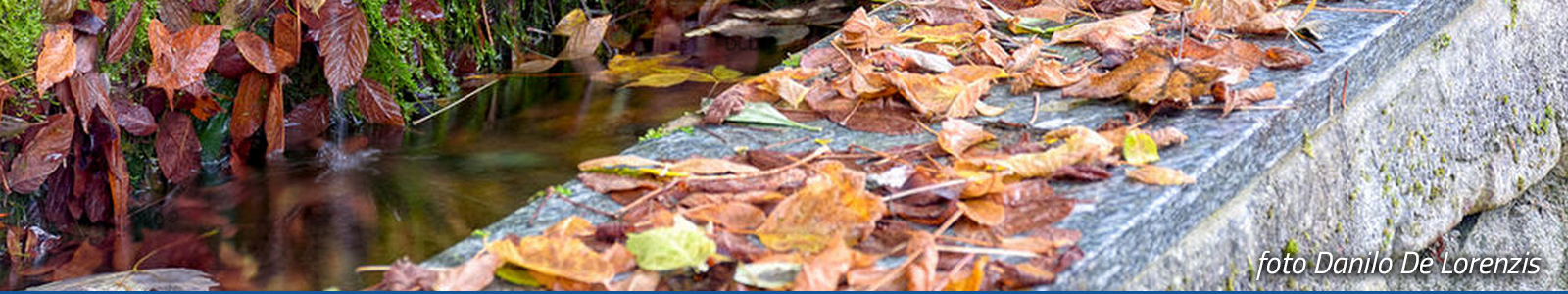 slider_05